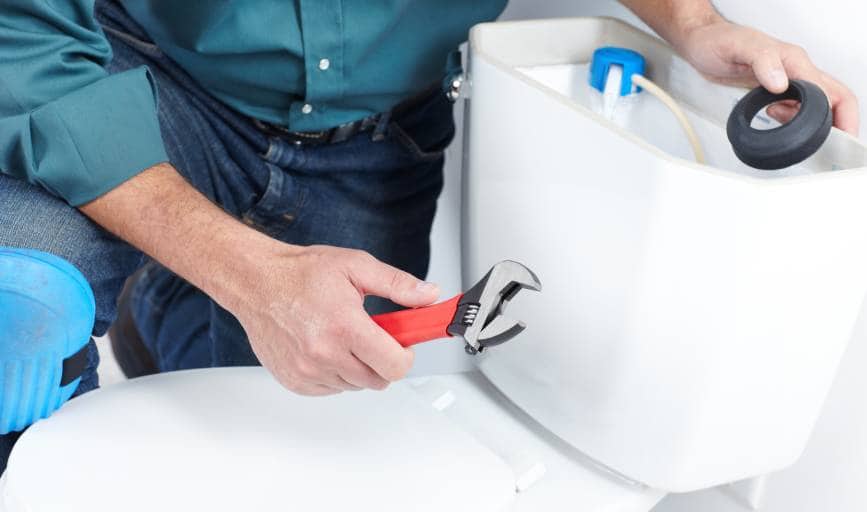Matt The Plumber